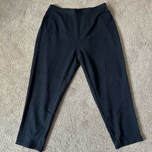 Elizabeth by Liz Claiborne Navy Pants size 1X